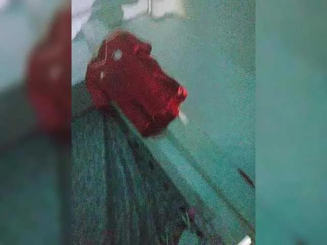 BiInTrier from BongaCams