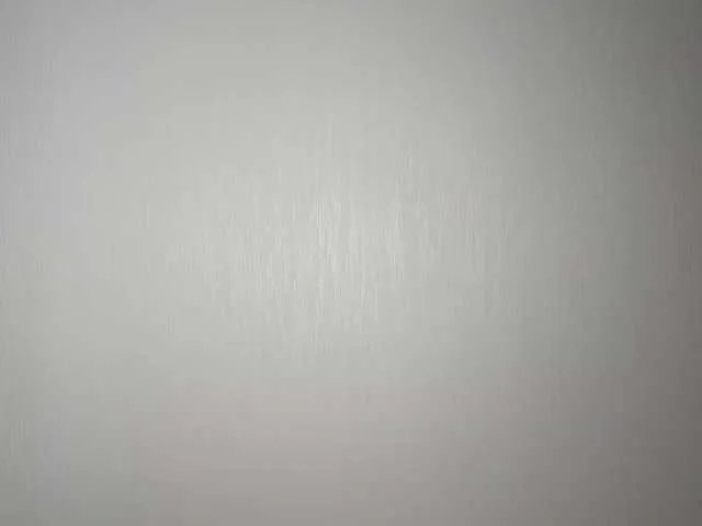 Model2021 from BongaCams