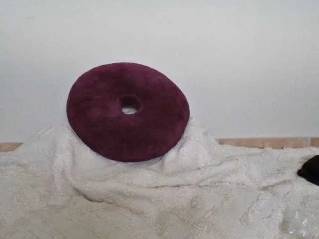 Delicious live sex cam of BongaCams's naked Petitesoles36! Interactive cam room with the silliest entertainer out there. From getting naked to peaking live broadcasts, this cam girl will show off her bod and leave you mesmerized Petitesoles36 from BongaCams