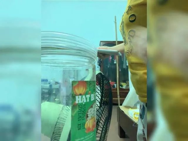 Phoebe90 from BongaCams