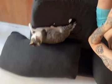 sexualmindset from Chaturbate