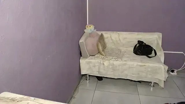 _sexy_lady from StripChat