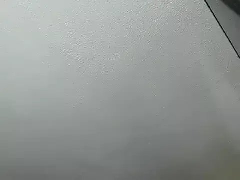 alphaswitchard from StripChat