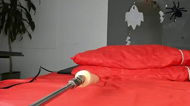 ariana_nix from StripChat