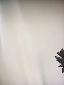 betterflyshow