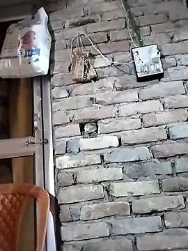 Darling8008 from StripChat