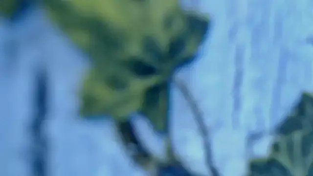 Diablica41 from StripChat