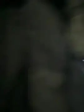 Diegeilemilf33