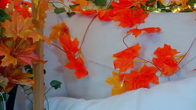 ElisabethDavis from StripChat