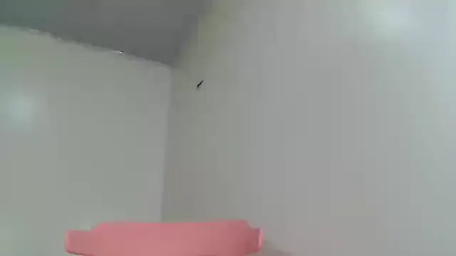 Full_Fist from StripChat