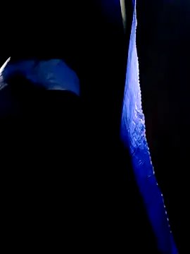 lisa-bae00 from StripChat