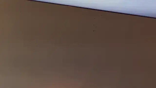 MasterDaddyCool from StripChat