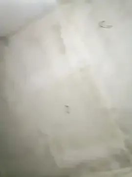 Miya_sistar from StripChat