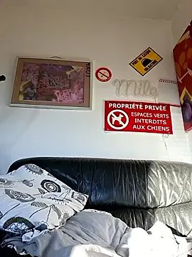 Mr_Graffitimile