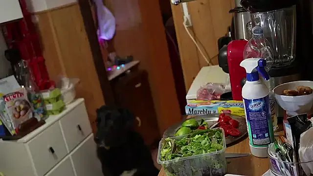 VanessaDoyle from StripChat